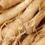 Eleuthero Root 34, 35